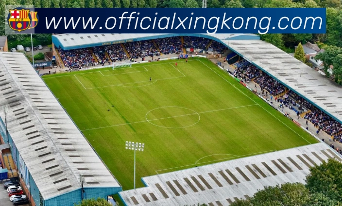 星空体育官网入口发展历程