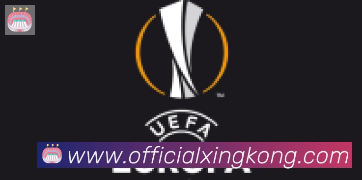 星空体育官网入口合作伙伴