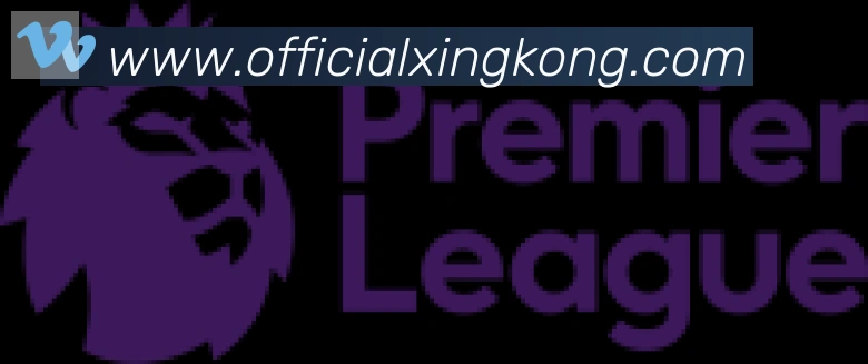 星空体育官网入口合作伙伴