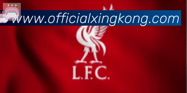 星空体育官网入口合作伙伴