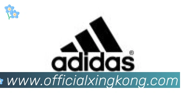 星空体育官网入口合作伙伴